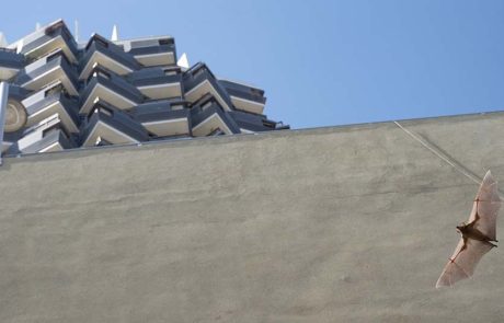 דיזנגוף סנטר שלא הכרתם: ביום הבחירות בוחרים בקיימות