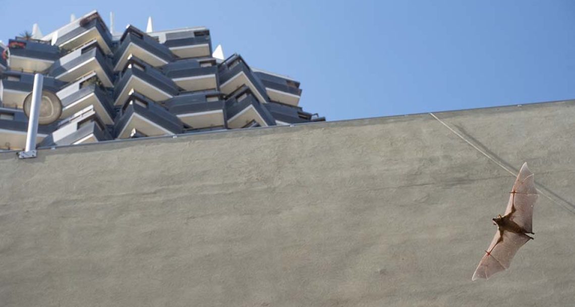 דיזנגוף סנטר שלא הכרתם: ביום הבחירות בוחרים בקיימות