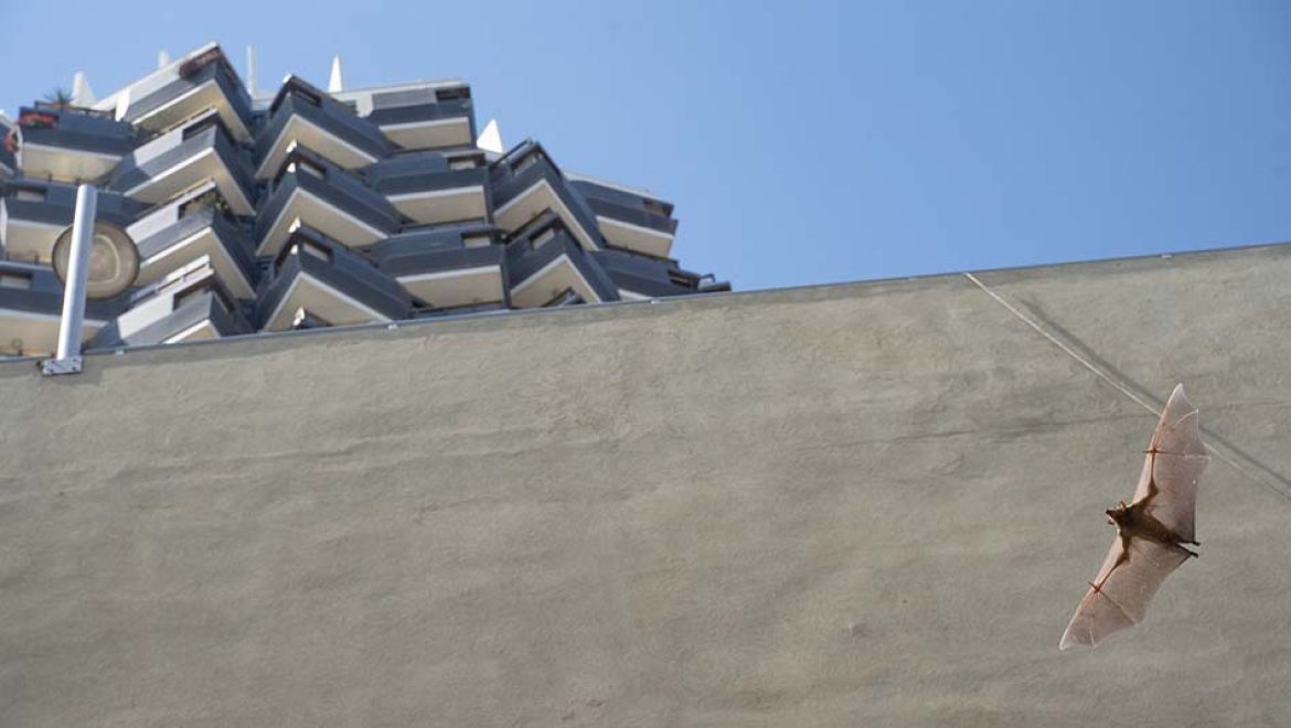 דיזנגוף סנטר שלא הכרתם: ביום הבחירות בוחרים בקיימות