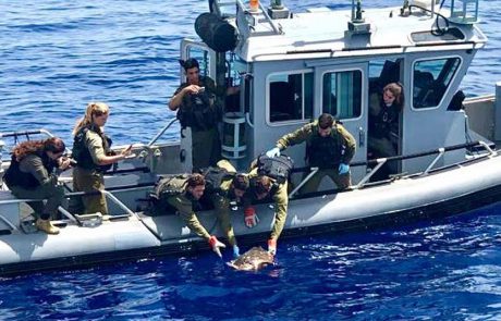“צבא ההגנה לטבע – מפקדים לוקחים אחריות על סביבתם”