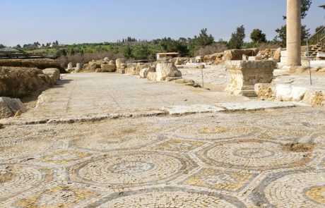 יער ציפורי – שמורה קטנה מוצלת וקרירה בכל עונות השנה