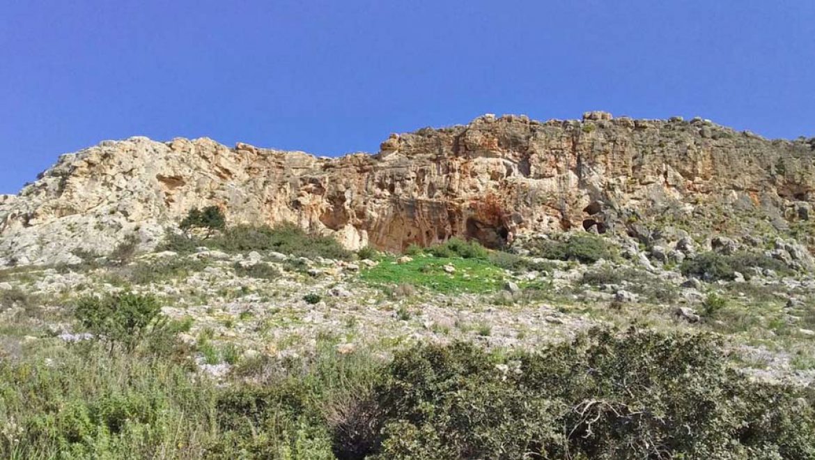 מערת מיסלייה. צילום: מינה וינשטיין-עברון, אוניברסיטת חיפה נברן קטן שינה את ההבנה על האבולוציה של האנושות