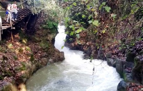 בשורה משמחת: חוזרים לטייל במרחבי ישראל