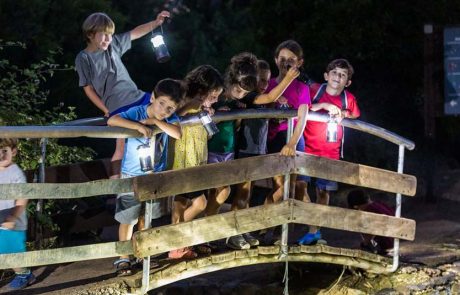 הלילה שלכם בגולן: המדריך המלא לפעילויות הקיץ הכי שוות אחרי השקיעה