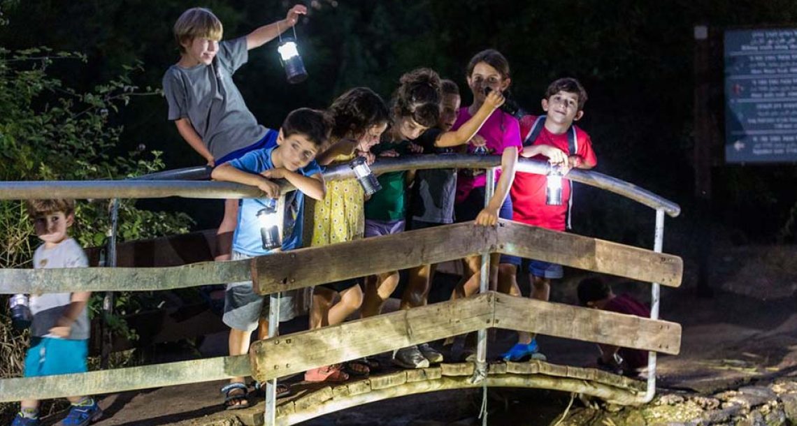 הלילה שלכם בגולן: המדריך המלא לפעילויות הקיץ הכי שוות אחרי השקיעה