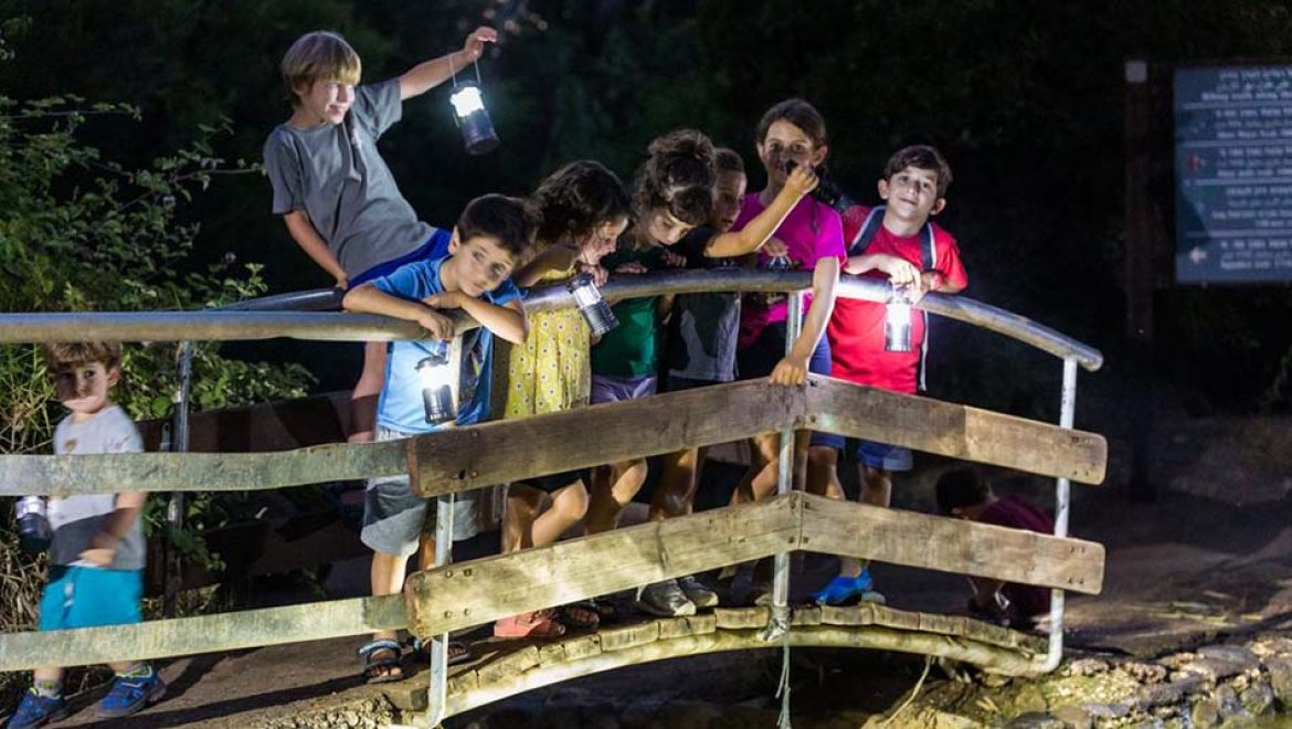 הלילה שלכם בגולן: המדריך המלא לפעילויות הקיץ הכי שוות אחרי השקיעה