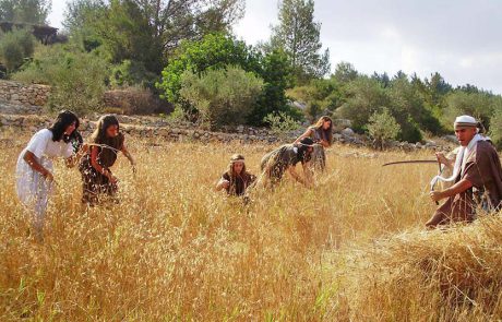 המשפחות חוגגות את חג הביכורים, בצפון הנגב ובחבל מודיעין