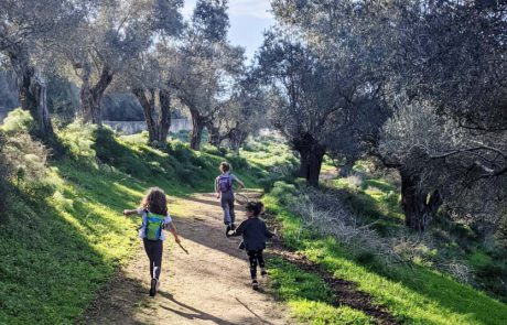 “על הדרך”: פודקאסט חדש מבית אבי חי, החוויה המשלימה לטיול משפחתי