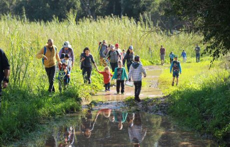 צעדת בוץ במגפיים: המשפחות מוזמנות לגן לאומי ירקון