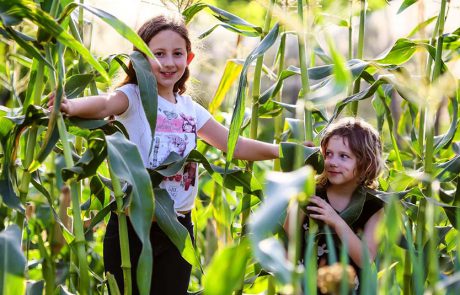 פותחים את השנה עם “קלחים ומבוכים” בפעילות חווייתית לכל המשפחה