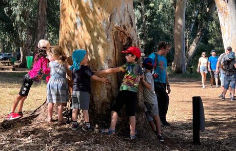 הכירו את גן לאומי ירקון: הריאה הירוקה של גוש דן