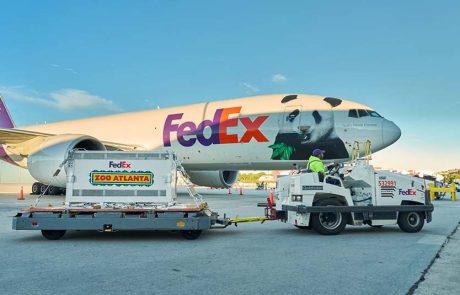 מסין לארה”ב: 2 פנדות הגיעו בטיסה מיוחדת של FedEx
