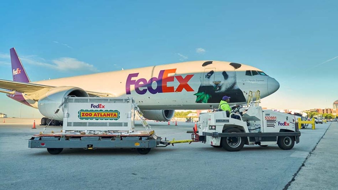 מסין לארה”ב: 2 פנדות הגיעו בטיסה מיוחדת של FedEx