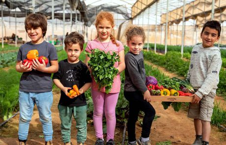 ‘מהחממה לצלחת’ – בסימן הצדעה לחקלאות ישראלית מקומית