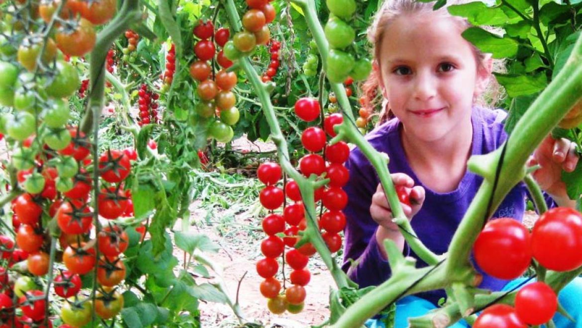 חוגגים ט”ו בשבט משפחתי בערבה התיכונה