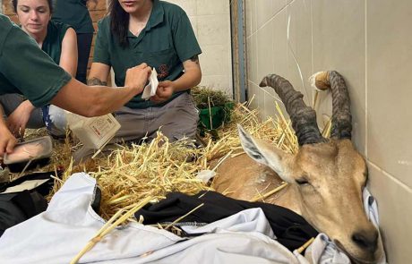 יעל קל רגליים: בדרך למצפה רמון עוצרים בפארק אריאל שרון