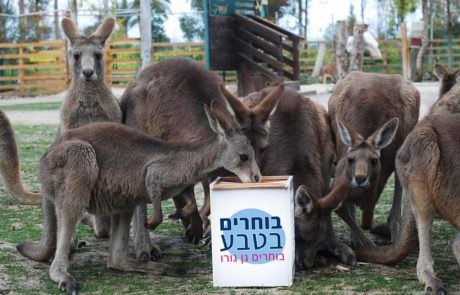 בוחרים בגן גורו, בוחרים בטבע