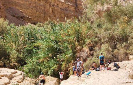 המשפחות יצאו בשבת לטייל במרחבי ישראל