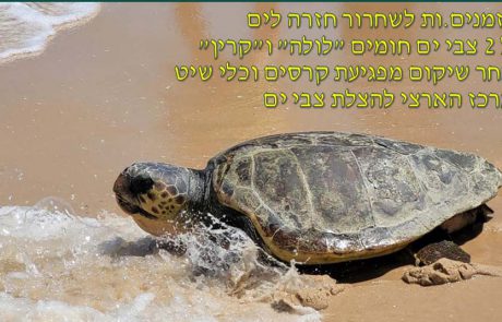 קרין ולולה מושבות לים וכל המשפחה מוזמנת לחגיגה