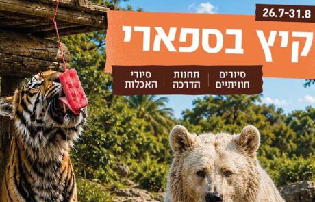 קיץ לילי בספארי ברמת גן: סיורים, תחנות חווייתיות והטבה למשפחות