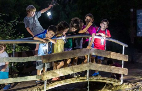 תיירות החברה הכלכלית גולן: הצעות לפעילויות משפחתיות ביום העצמאות