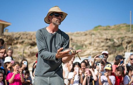 הצבים יריב, דונטלו וצחי ניצלו, טופלו ושוחררו בחזרה לים