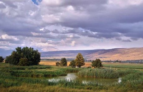 חוגגים עצמאות בטבע: אגמון החולה-קק”ל נפתח למבקרים
