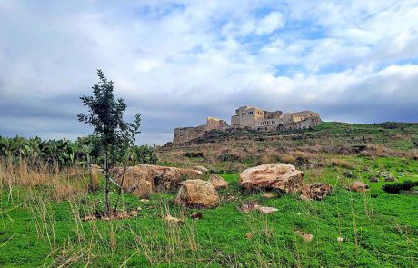 חורף בטבע הישראלי: טיולי פריחות וזרימות נחלים למשפחות