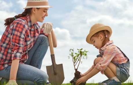 חוגגים את יום המשפחה ו- ט”ו בשבט, בסדרת אירועים חוויתיים
