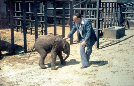 מגן החיות המיתולוגי בת”א, לספארי המודרני בר”ג