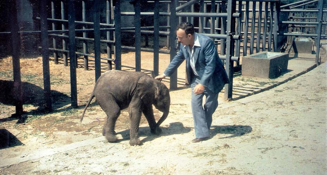 מגן החיות המיתולוגי בת”א, לספארי המודרני בר”ג