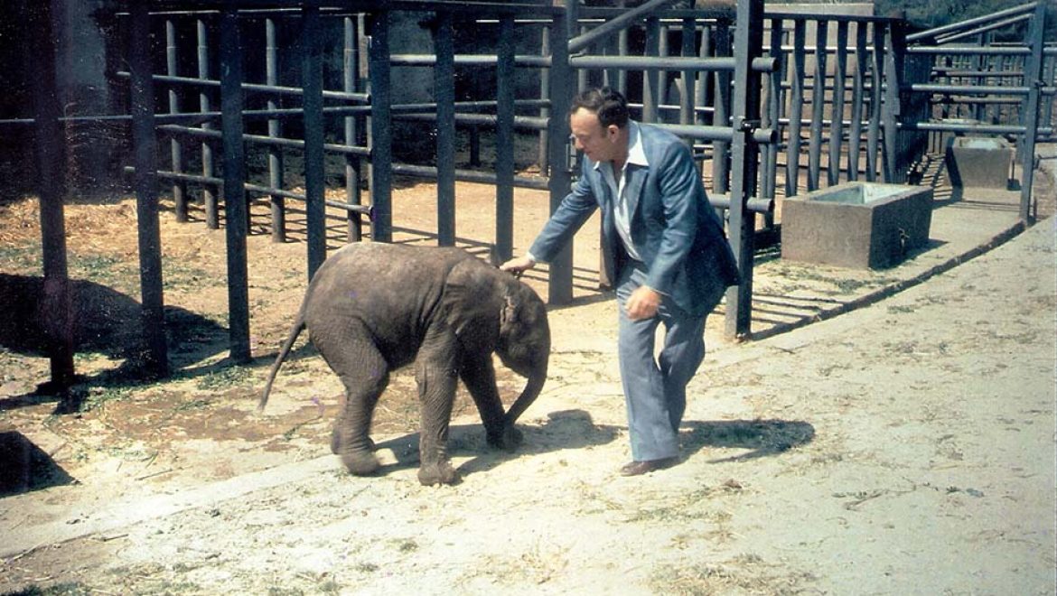 מגן החיות המיתולוגי בת”א, לספארי המודרני בר”ג