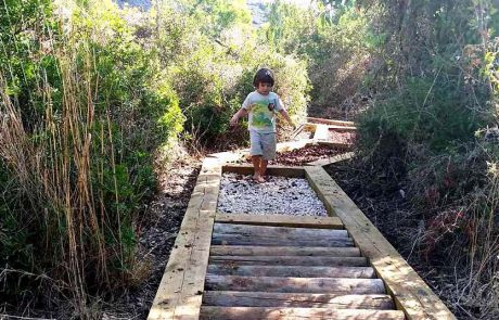 ללכת בעקבות הטבע: פארק החושים ושביל הרגליים היחפות