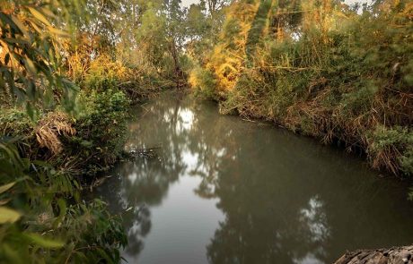 “האבקה – הסיפור המלא”: תערוכה חדשה במוזיאון ע”ש שטיינהרדט