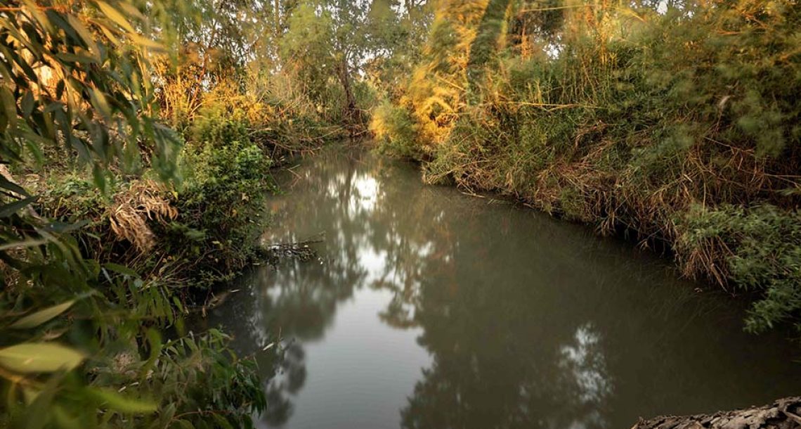 “האבקה – הסיפור המלא”: תערוכה חדשה במוזיאון ע”ש שטיינהרדט