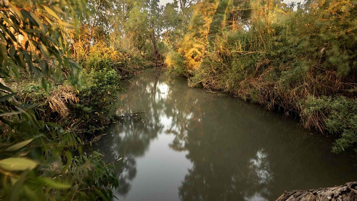 “האבקה – הסיפור המלא”: תערוכה חדשה במוזיאון ע”ש שטיינהרדט