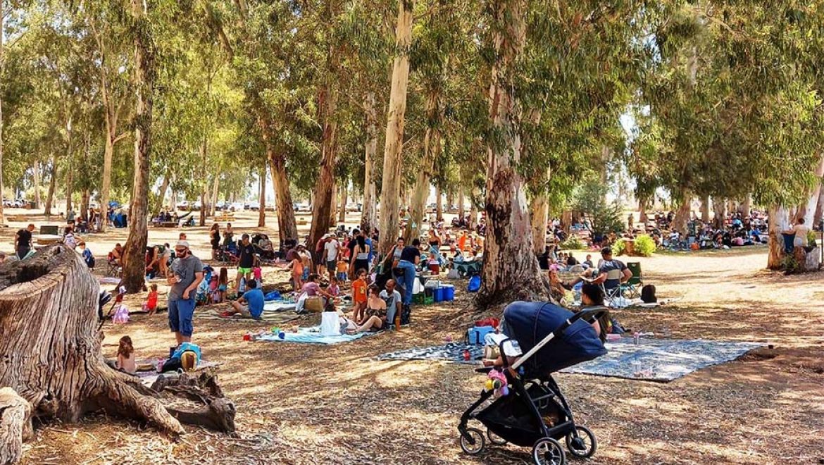 מבקרים בגן הלאומי תל אפק. צילום יפה מורים, מתנדבת ברט כ-35 אלף מטיילות/ים הגיעו להתאוורר בשמורות הטבע והגנים הלאומיים