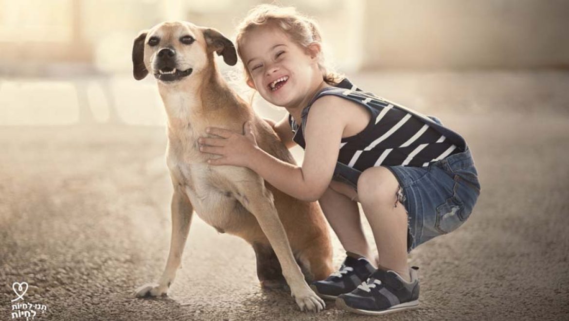 לרגל חגיגות 40 שנה ל”תנו לחיות לחיות”: התערוכה