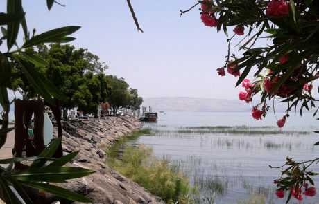 סוכות בכינרת, מסלולים מודרכים בשביל סובב כינרת ושייט ייחודי