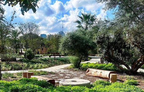 ט”ו בשבט במוז”א: משיק משחק דיגיטלי חדש לכל המשפחה בבוסתן