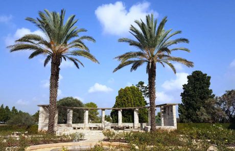 רמת הנדיב: מפגש קסום בין אדם, טבע וסביבה